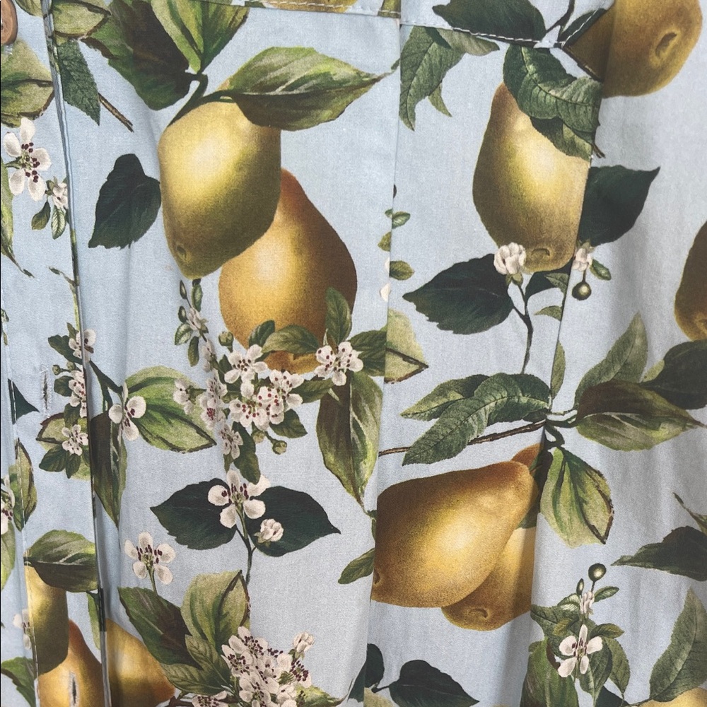 Zara Fruit Print midi Dress with Belt - Picture 6 of 7